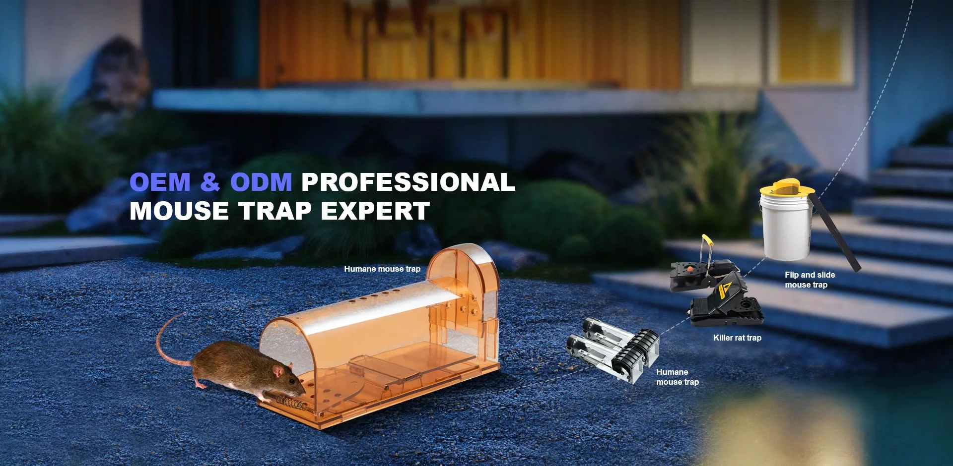humane mouse trap