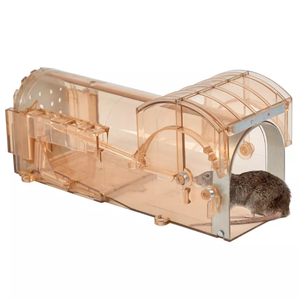 Reusable Small Humane Mouse Trap Manufacturer