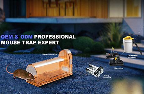 The most common mouse trap methods