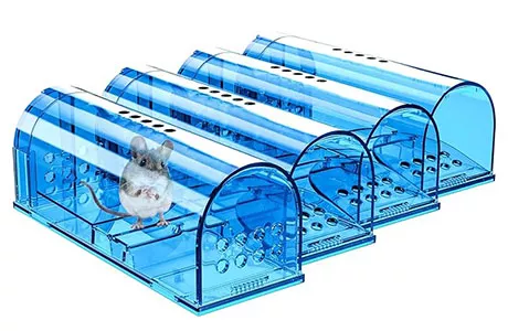 Humane mouse trap placement method