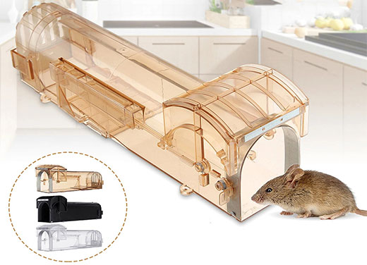 Customized humane mousetrap solutions for American companies