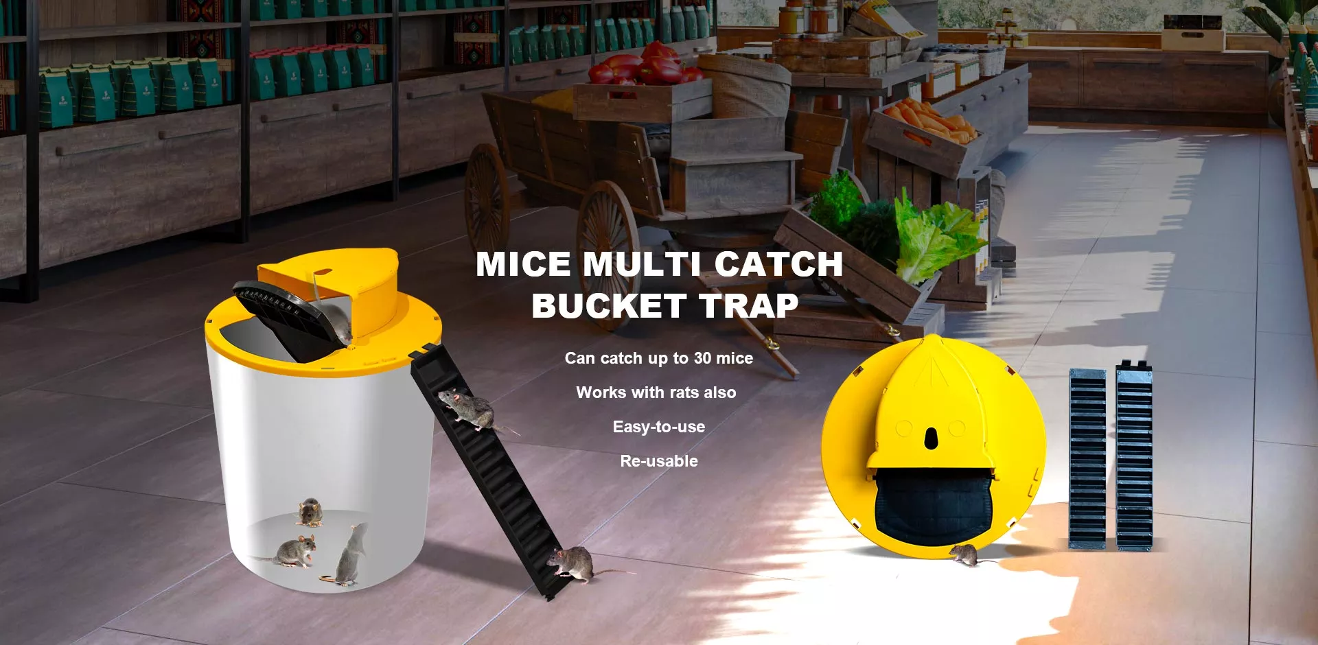 Slide Mouse Trap