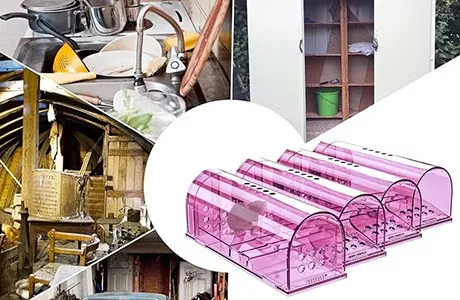 Protect Your Home, Start with the Best Mouse Trap!