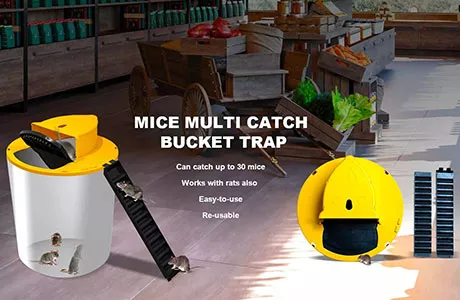 Sliding mousetraps can help us solve rat problems efficiently