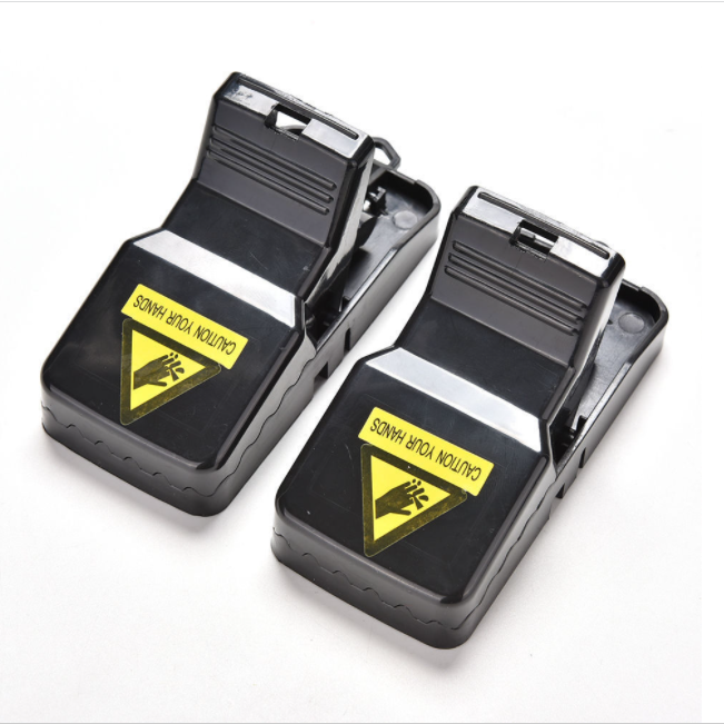 Plague Prevention Guide: Understanding, Prevention, and Response