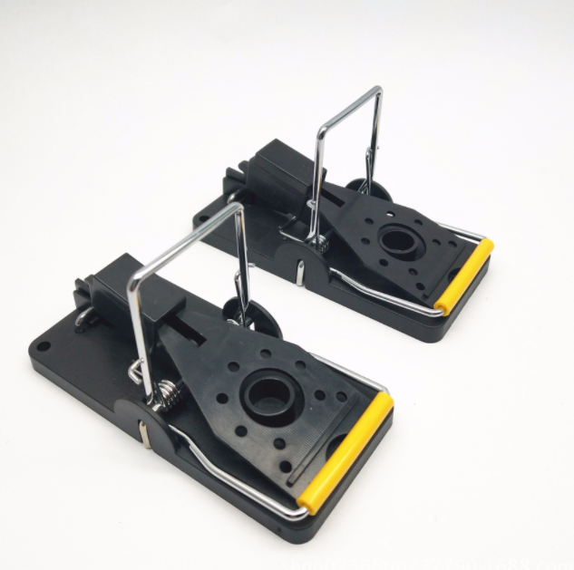 The Ultimate Mouse Trap Buying Guide 2026: Choose the Right Trap for Your Home